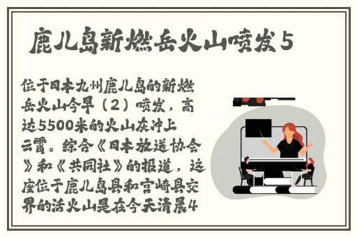 久久久久精品久久影视